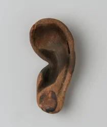 Ear
